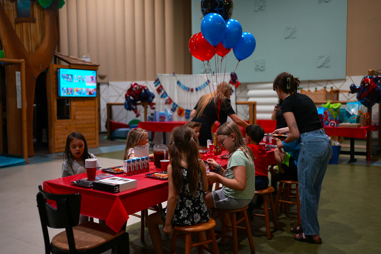 Birthday Party Booking